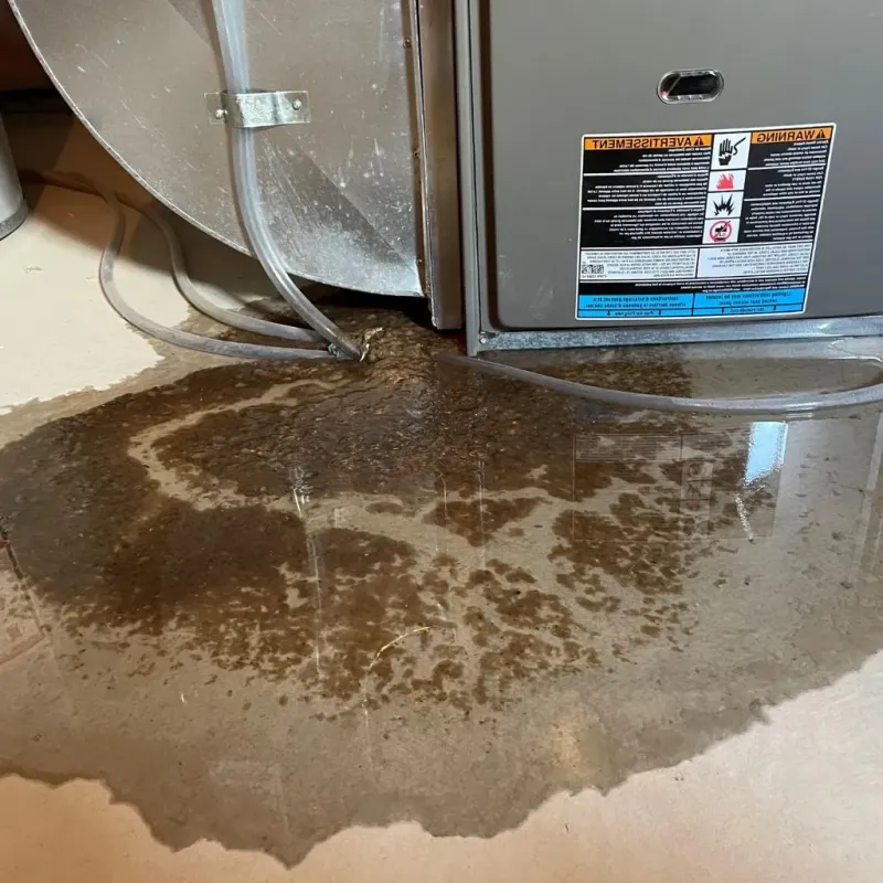 Pipe Burst and Leak Restoration in Ben Hill County, GA
