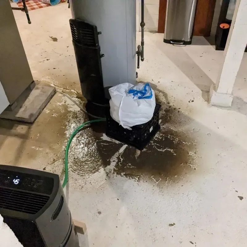 Sewage Backup Cleanup Service in Ben Hill County, GA